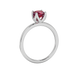 Red cushion cut solitaire ring with tulip basket setting in rose gold