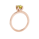 Yellow cushion cut solitaire ring with tulip basket setting in rose gold