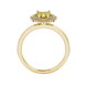 Canary Yellow heart cut gemstone double halo ring in rose gold