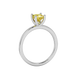 Side profile, white gold canary yellow ring, four-prong gallery.