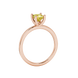 Side profile, rose gold canary yellow ring, four-prong gallery.