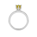Princess canary yellow gemstone ring, white gold six-prong setting.
