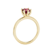 Side profile, yellow gold raspberry red ring, six-prong gallery.