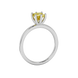 Side profile, white gold canary yellow ring, six-prong gallery.