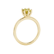 Side profile, yellow gold canary yellow ring, six-prong gallery.