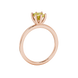 Side profile, rose gold canary yellow ring, six-prong gallery.